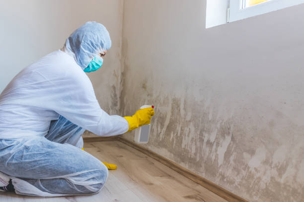 Crawl Space Mold Remediation treatment of floor joists in College Park
