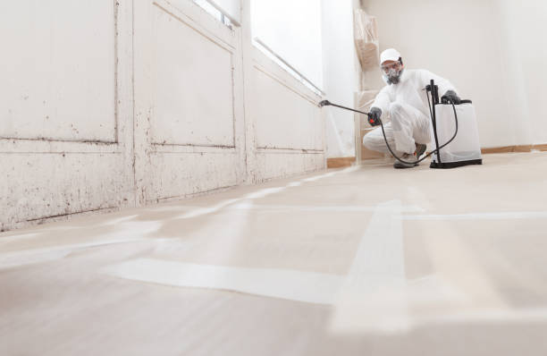 Black mold remediation team in College Park