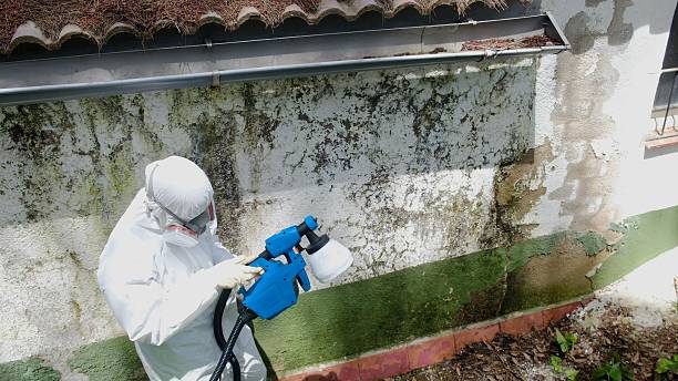 Mold Remediation service in College Park, College Park, MD